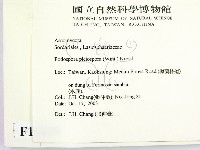 登錄號:F0016889藏品圖，第2張