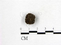 登錄號:F0016889藏品圖，第3張
