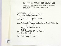 登錄號:F0016890藏品圖，第2張
