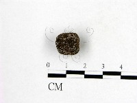 登錄號:F0016890藏品圖，第3張