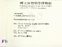 登錄號:F0016891藏品圖，第2張