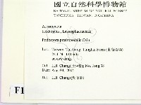 登錄號:F0016893藏品圖，第2張