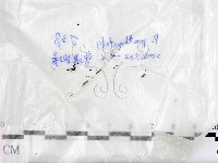 登錄號:F0016893藏品圖，第1張