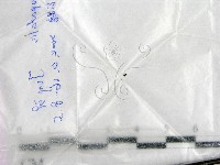 登錄號:F0016894藏品圖，第1張
