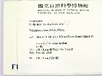 登錄號:F0016895藏品圖，第2張