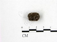 登錄號:F0016895藏品圖，第1張
