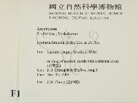 登錄號:F0016896藏品圖，第2張