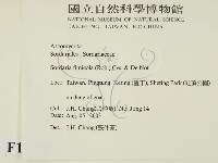登錄號:F0016897藏品圖，第2張