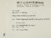 登錄號:F0016898藏品圖，第2張