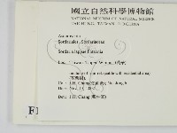 登錄號:F0016899藏品圖，第2張