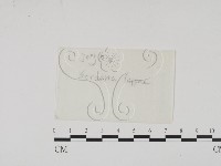 登錄號:F0016899藏品圖，第1張