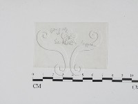 登錄號:F0016901藏品圖，第1張