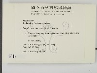 登錄號:F0016902藏品圖，第2張