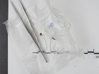 登錄號:F0016902藏品圖，第1張