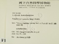 登錄號:F0016903藏品圖，第2張