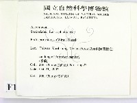 登錄號:F0016904藏品圖，第2張