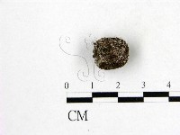 登錄號:F0016904藏品圖，第1張