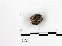 登錄號:F0016904藏品圖，第3張
