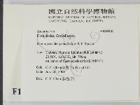 登錄號:F0016905藏品圖，第2張