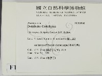 登錄號:F0016906藏品圖，第2張