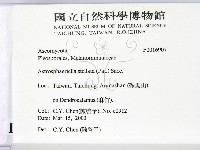 登錄號:F0016907藏品圖，第2張