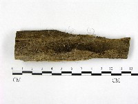 登錄號:F0016907藏品圖，第1張