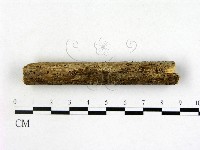 登錄號:F0016910藏品圖，第1張