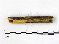 登錄號:F0016910藏品圖，第3張