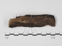 登錄號:F0016911藏品圖，第1張