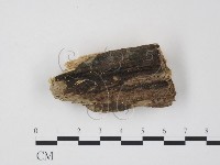 登錄號:F0016912藏品圖，第1張