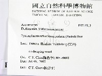 登錄號:F0016913藏品圖，第2張