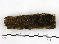 登錄號:F0016913藏品圖，第1張