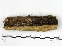 登錄號:F0016913藏品圖，第3張