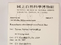 登錄號:F0016915藏品圖，第2張
