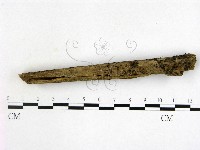 登錄號:F0016916藏品圖，第1張