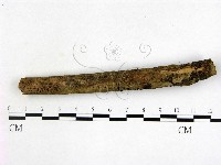 登錄號:F0016916藏品圖，第3張