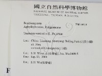 雲芝藏品圖，第2張