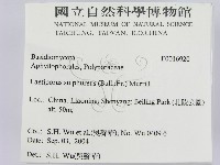 登錄號:F0016920藏品圖，第2張