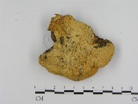 登錄號:F0016920藏品圖，第3張