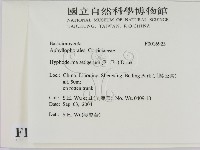 剛毛絲皮菌藏品圖，第2張