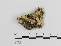 登錄號:F0016924藏品圖，第1張