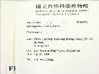 蟲草屬藏品圖，第2張