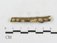 登錄號:F0016931藏品圖，第1張