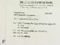 登錄號:F0016932藏品圖，第2張