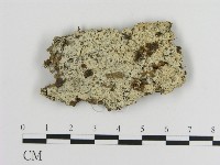 登錄號:F0016932藏品圖，第1張