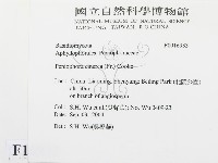 登錄號:F0016933藏品圖，第2張