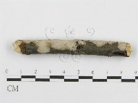 登錄號:F0016933藏品圖，第1張