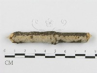 登錄號:F0016933藏品圖，第3張