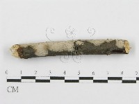 登錄號:F0016933藏品圖，第7張