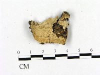 登錄號:F0016934藏品圖，第1張